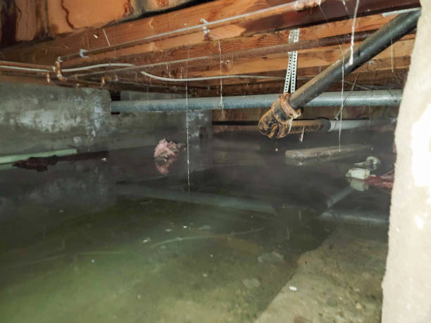 Best Sewage cleanup and water damage restoration  in Grand Haven, MI