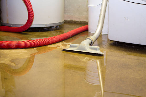 Best Basement water damage restoration  in Grand Haven, MI