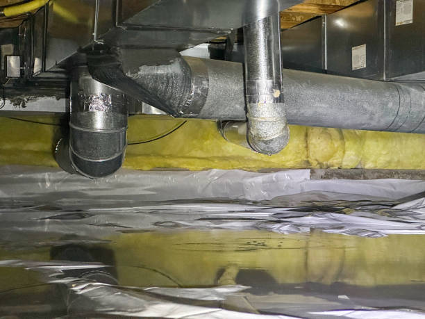 Best Emergency water damage restoration  in Grand Haven, MI