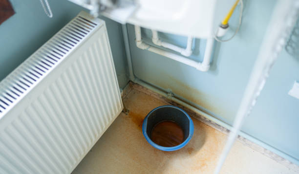 Best Ceiling water damage repair  in Grand Haven, MI