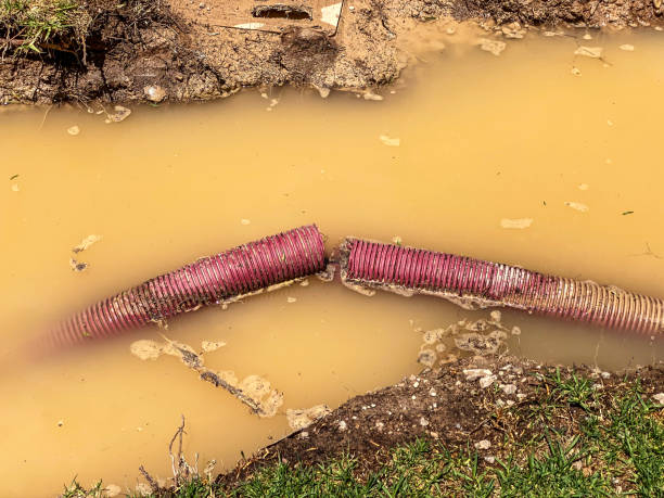 Best Water damage restoration near me  in Grand Haven, MI