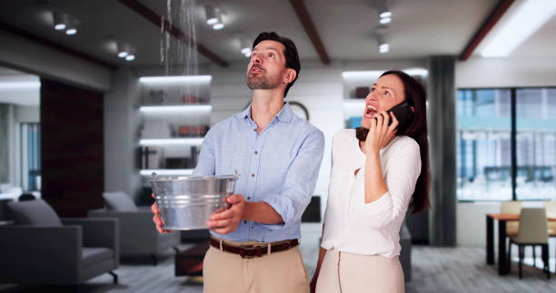 Best Water damage restoration company  in Grand Haven, MI